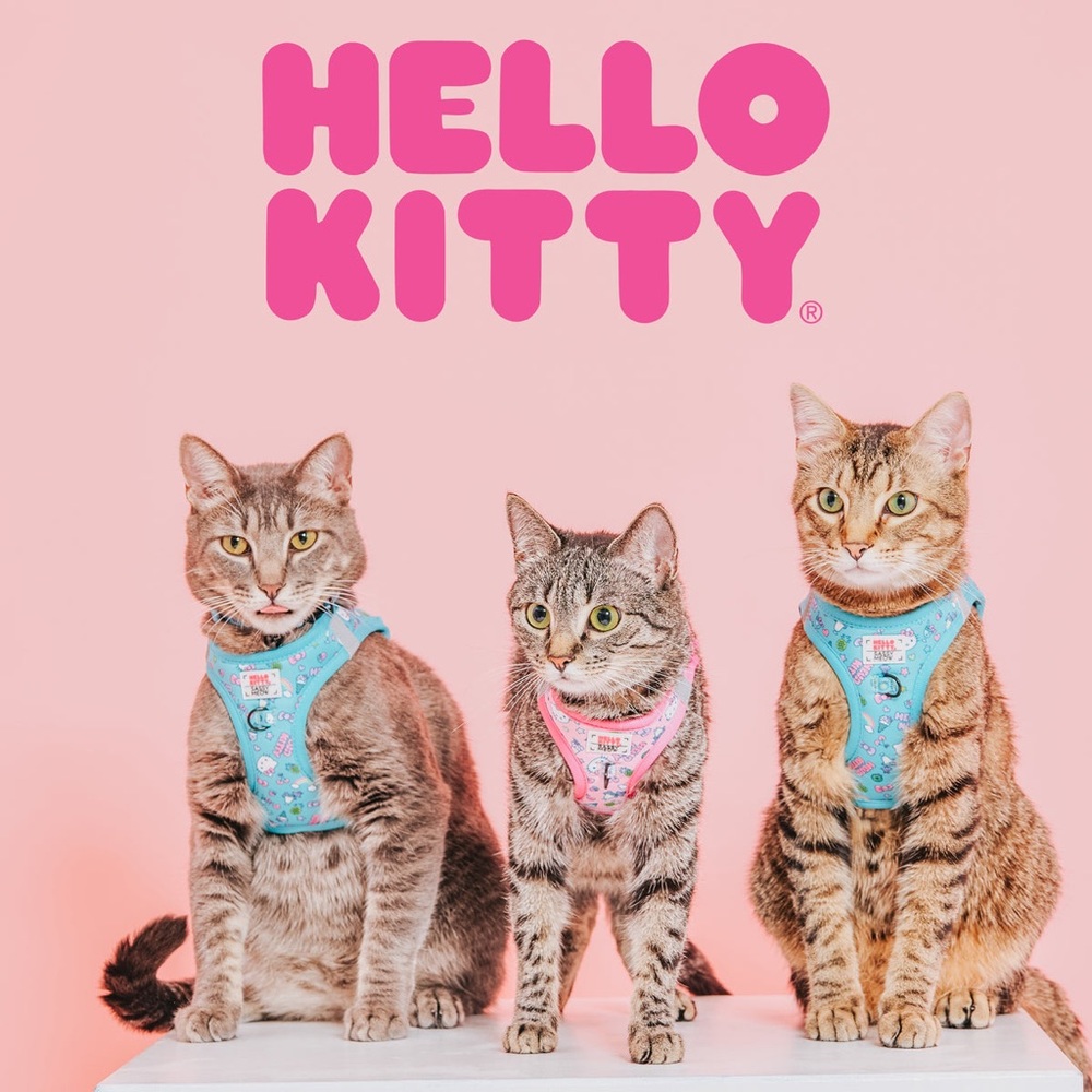 Sassy Meow Hello Kitty Pink Cat Harness